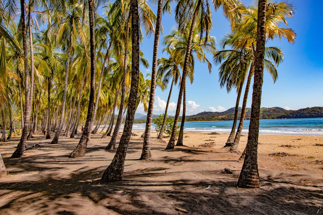 Carrillo Beach in Guanacaste, Costa Rica
